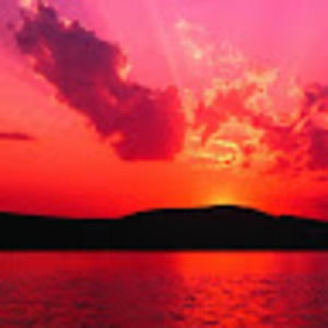 Meet your Posher, Randee